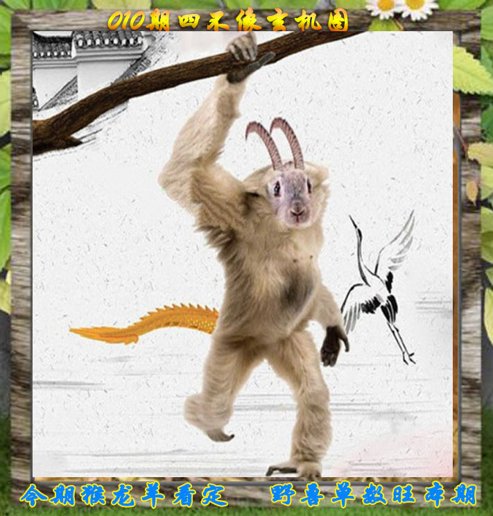 010期四不像特别版[图]